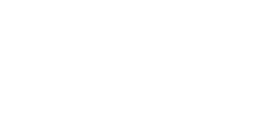 Lime Logo_White- Sized